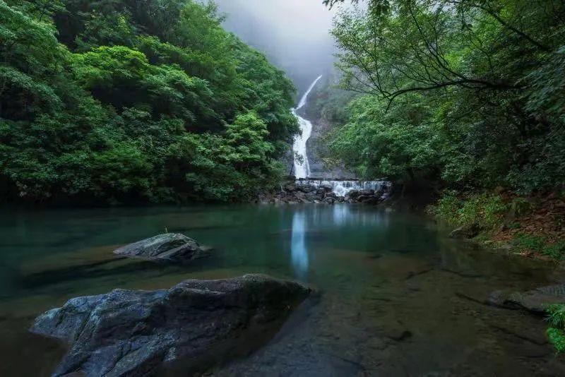 脑洞小老弟无实名认证